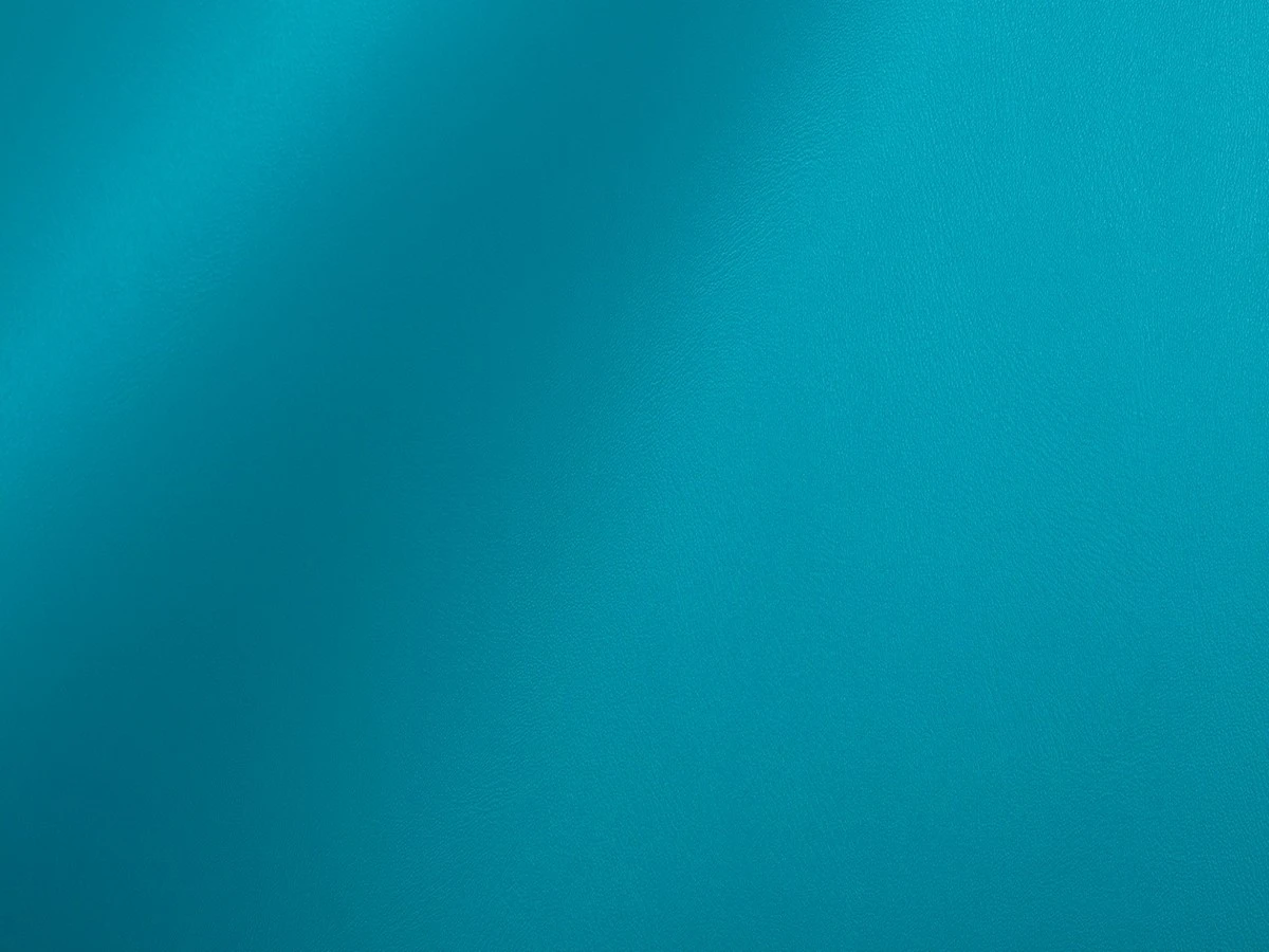 Skaden (Скаден) 6100 Аква 