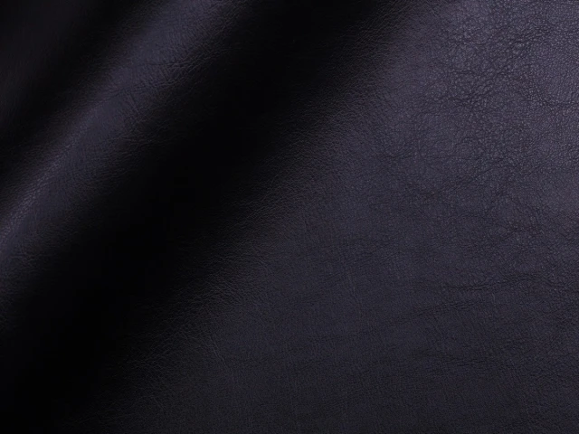 Fortuna (Фортуна) 9011 Чорний 