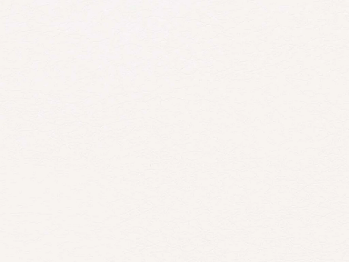 Zeus Deluxe (Зевс Делюкс) Snow 