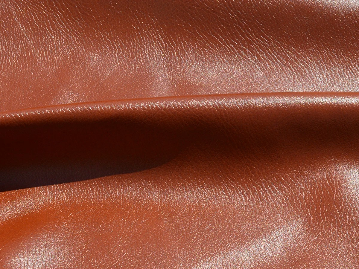 Kondor (Кондор) 