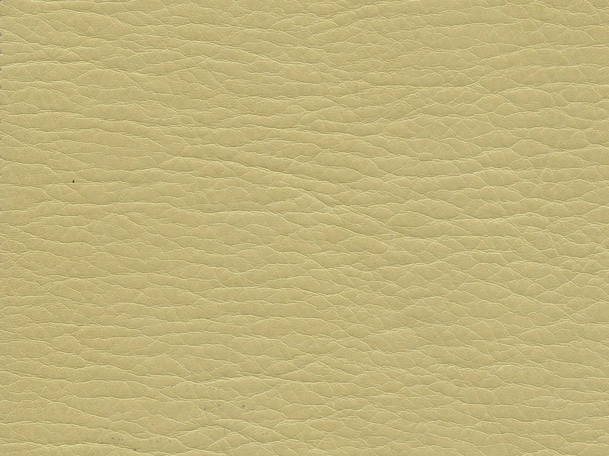 Kondor (Кондор) 55 