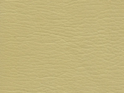 Kondor (Кондор)  55