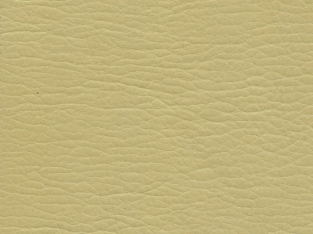 Kondor (Кондор) 55 