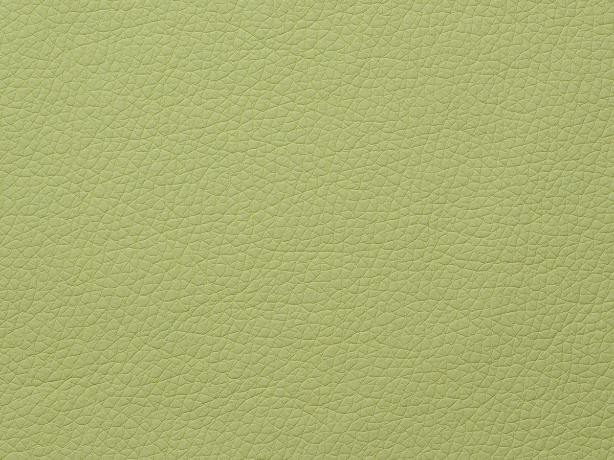 Fly (Флай) 2234 Салатовий 