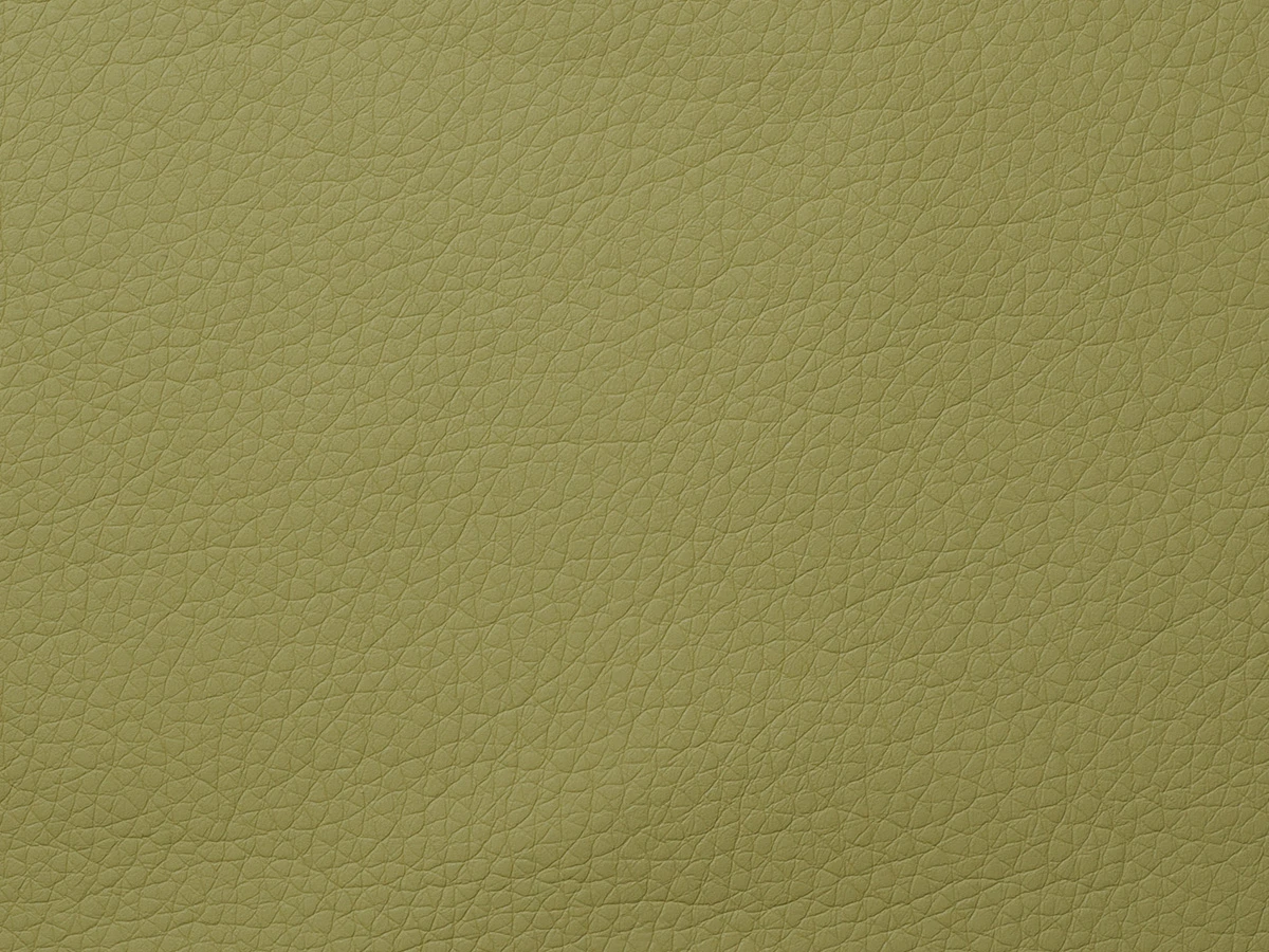 Fly (Флай) 2236 Оливковий 