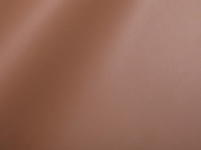 Skaden (Скаден) 1548 Світло-коричневий