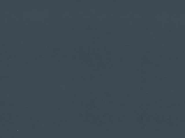 Vega (Вега) 95 DB Графіт 