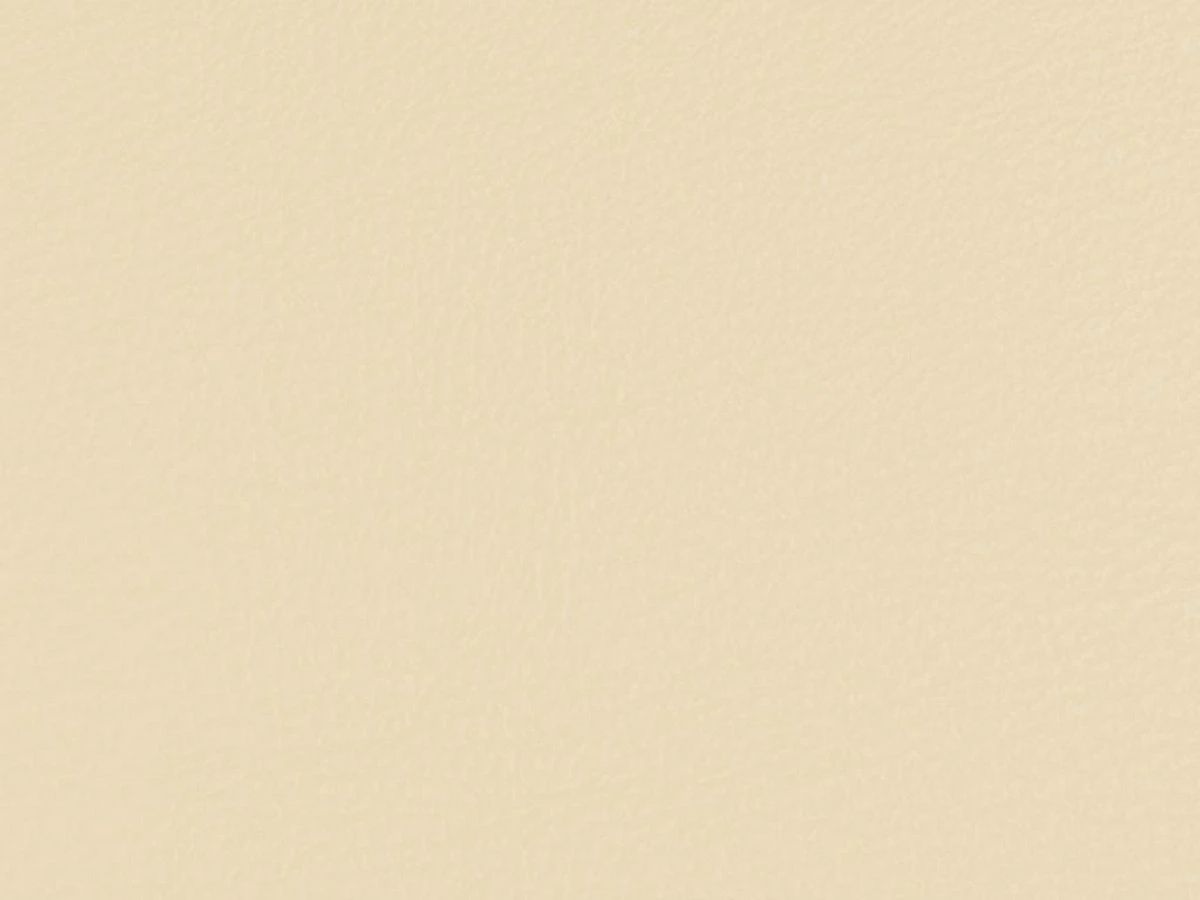 Stanford (Стенфорд) Bone 