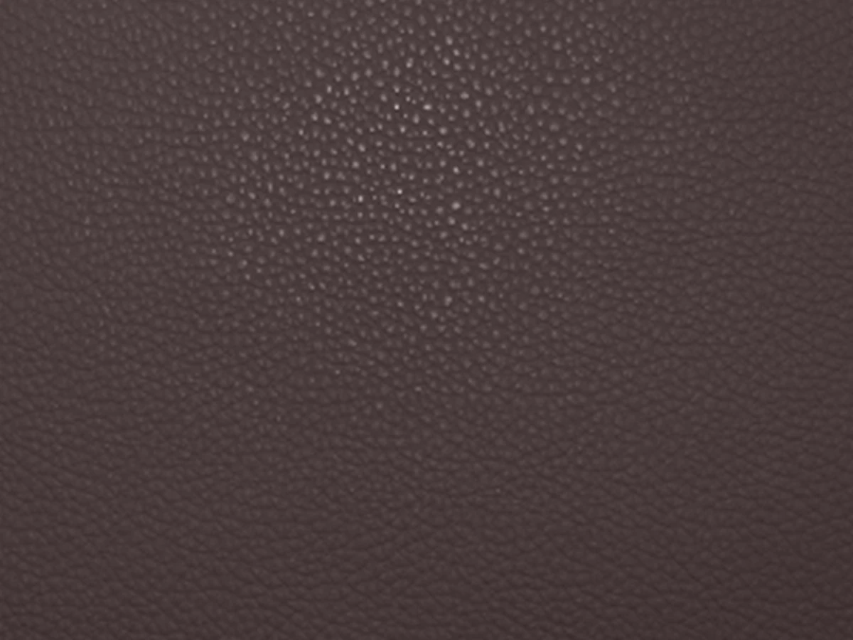 Bionica (Бионика) espresso 