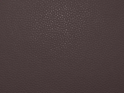 Bionica (Біоніка) espresso