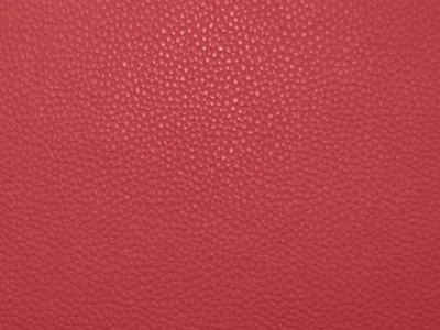 Bionica (Біоніка) ferrari