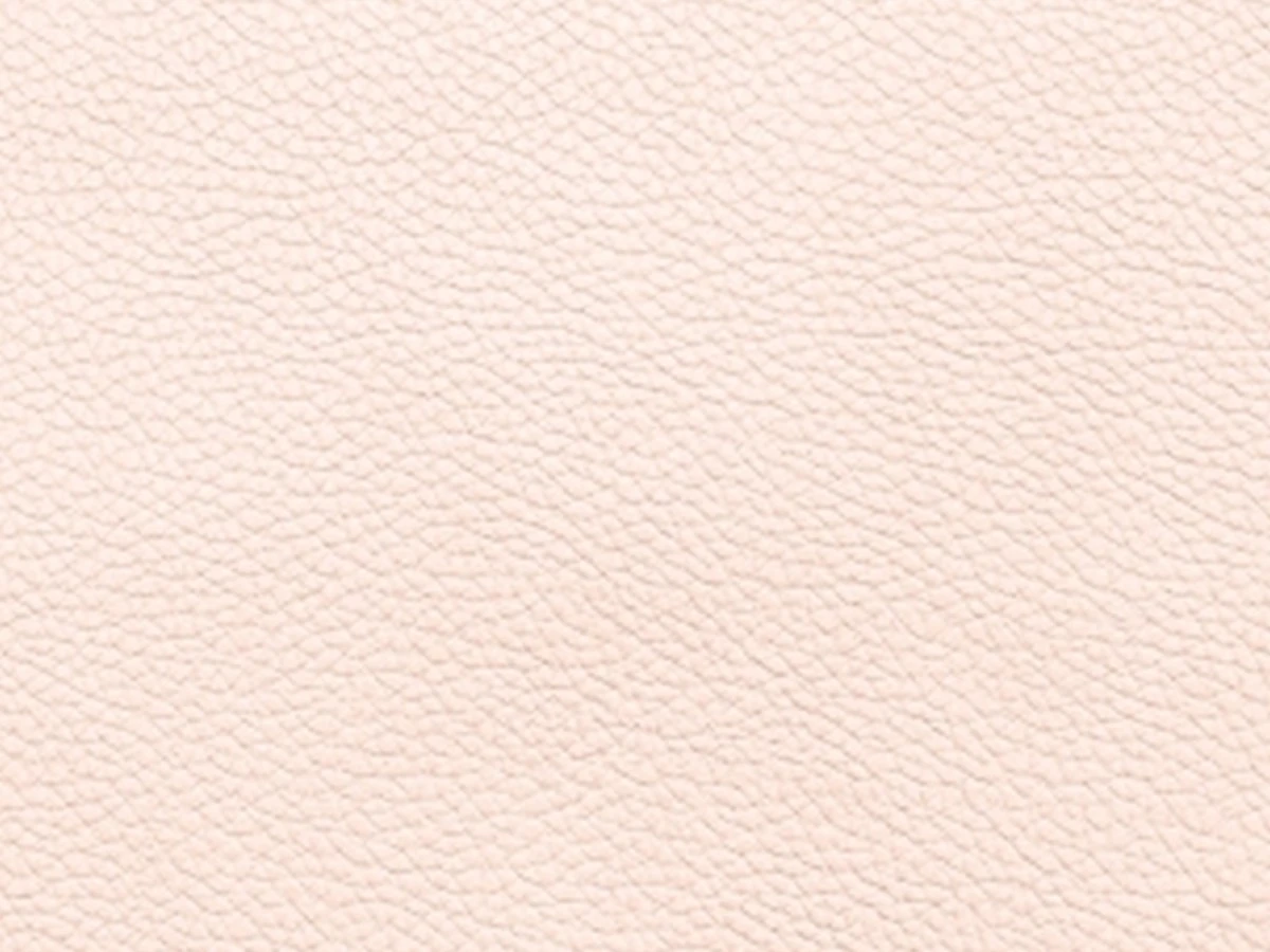 Bionica (Бионика) panna cotta 