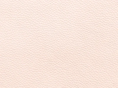 Bionica (Бионика) panna cotta