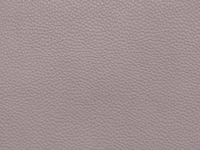 Bionica (Бионика) shadow