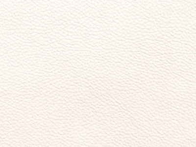 Bionica (Бионика) white shine