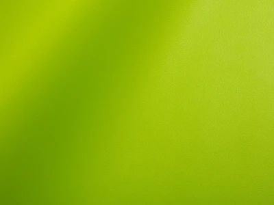 Skaden (Скаден) 6279 Салатовий