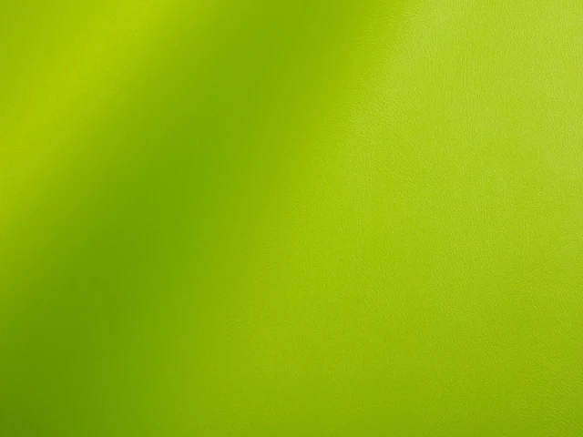 Skaden (Скаден) 6279 Салатовий 