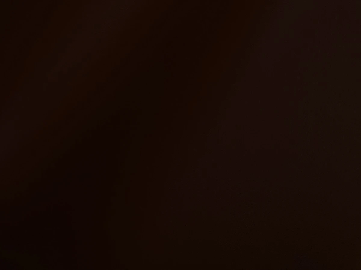 Skaden (Скаден) 8414 Темно-коричневий 