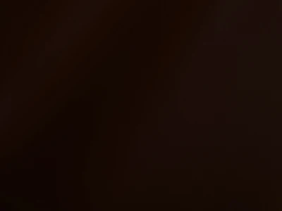 Skaden (Скаден) 8414 Темно-коричневий