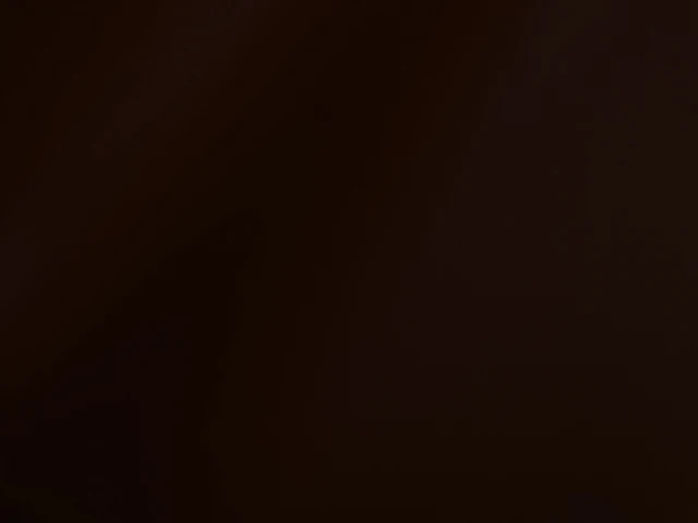 Skaden (Скаден) 8414 Темно-коричневий 