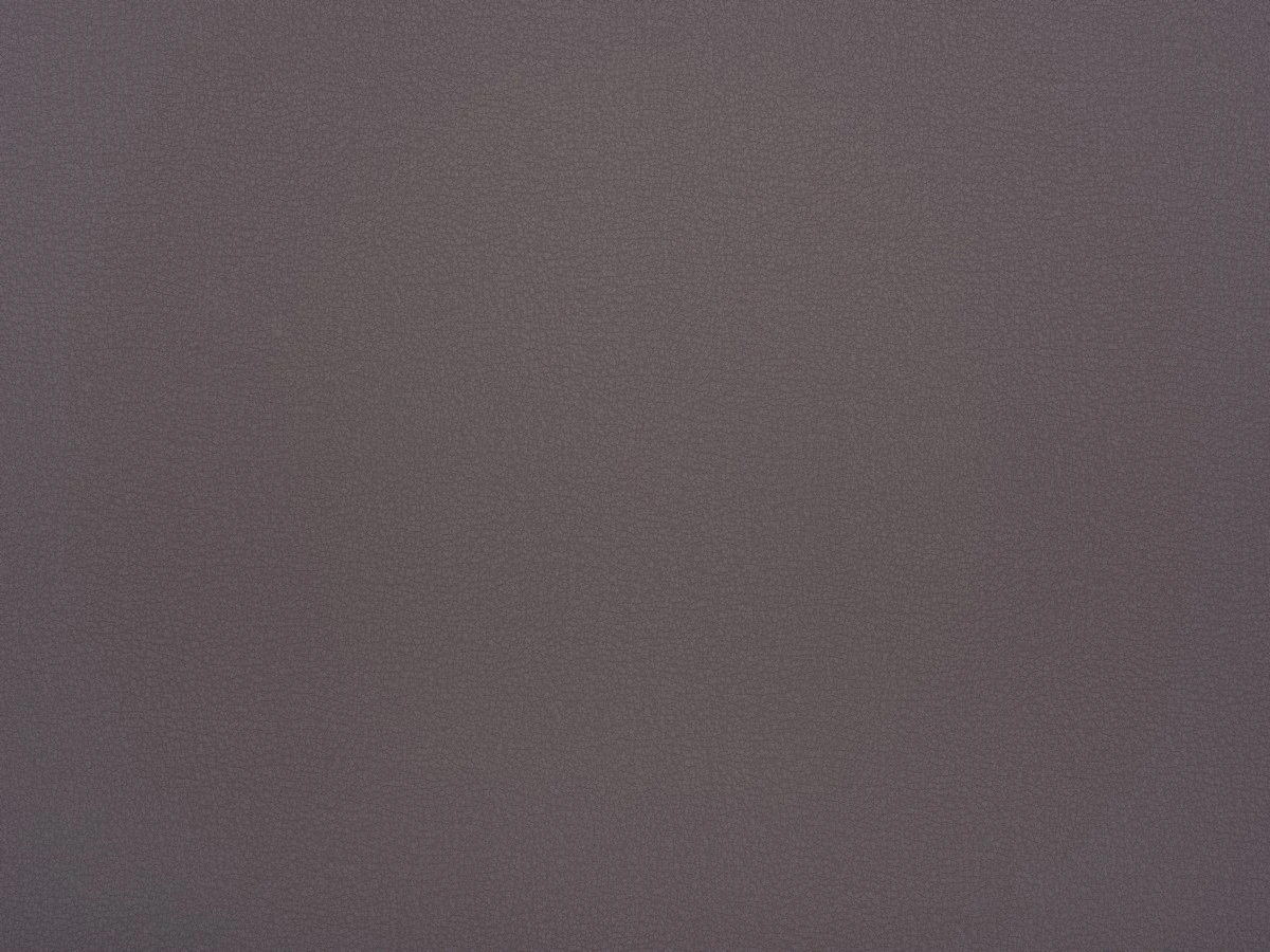 Logan (Логан) 65 Сіро-фіолетовий 