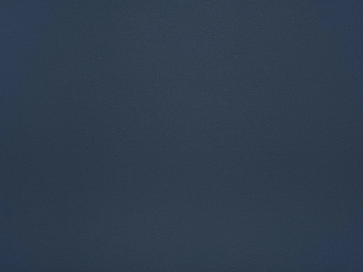 Logan (Логан) 81 Синій 