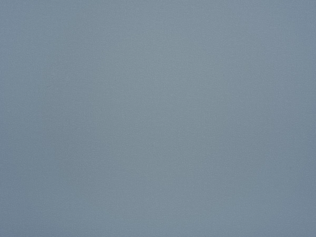 Logan (Логан) 82 Блакитний 