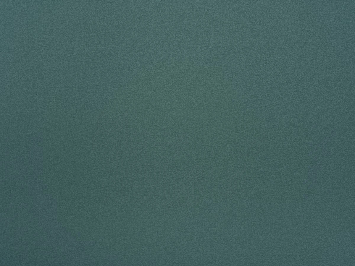 Logan (Логан) 83 Зелений 