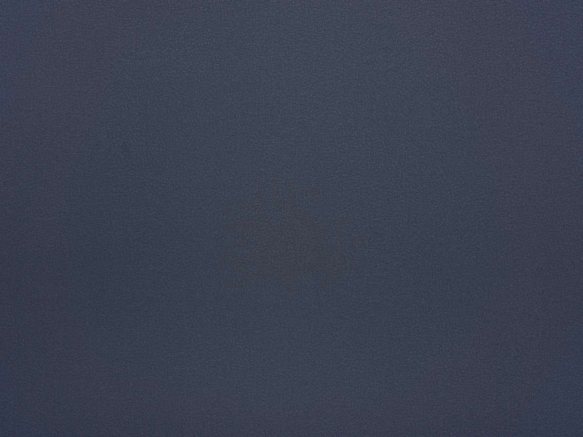 Logan (Логан) 86 Сизий 