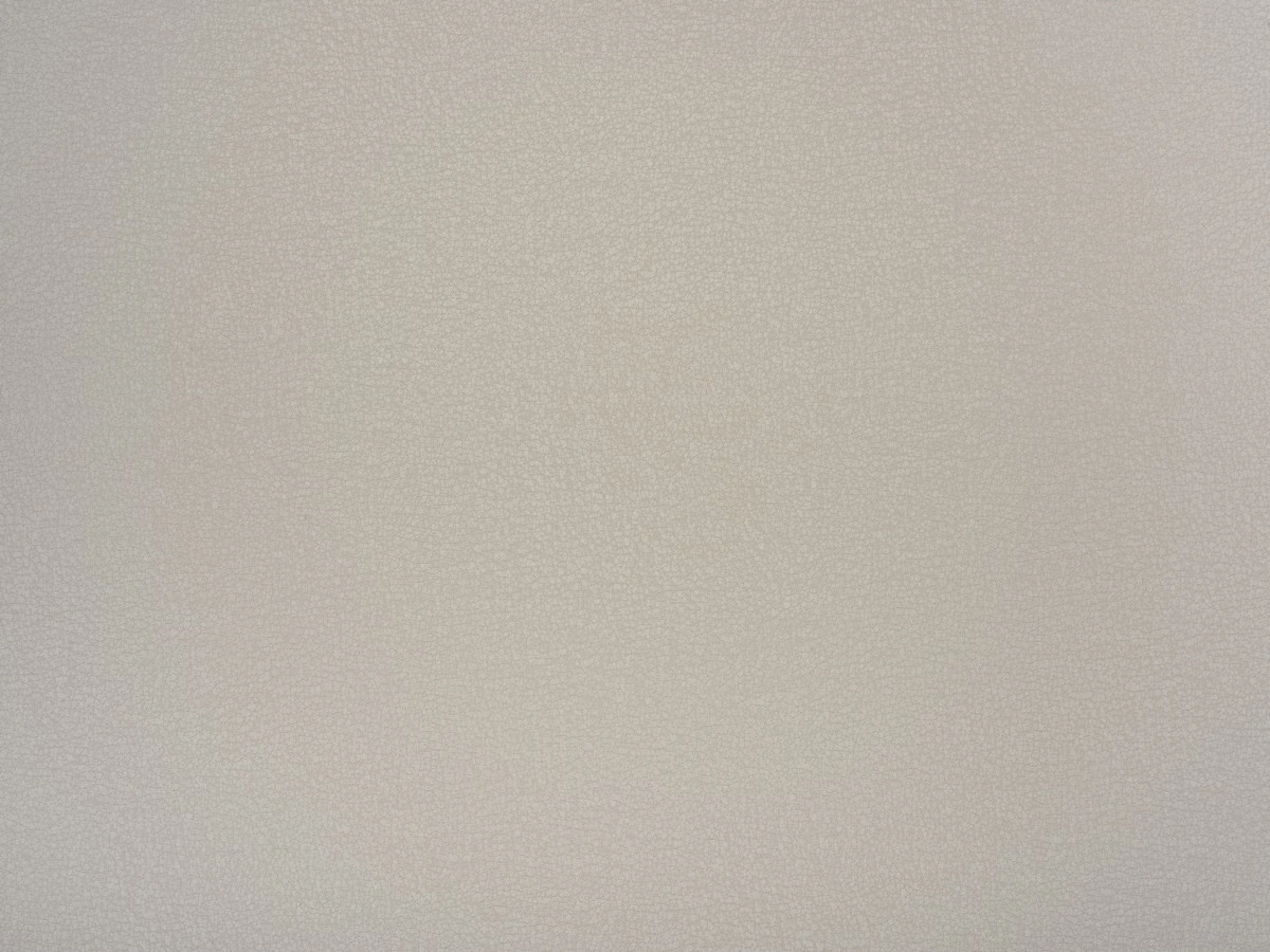 Logan (Логан) 91 Бежево-сірий 