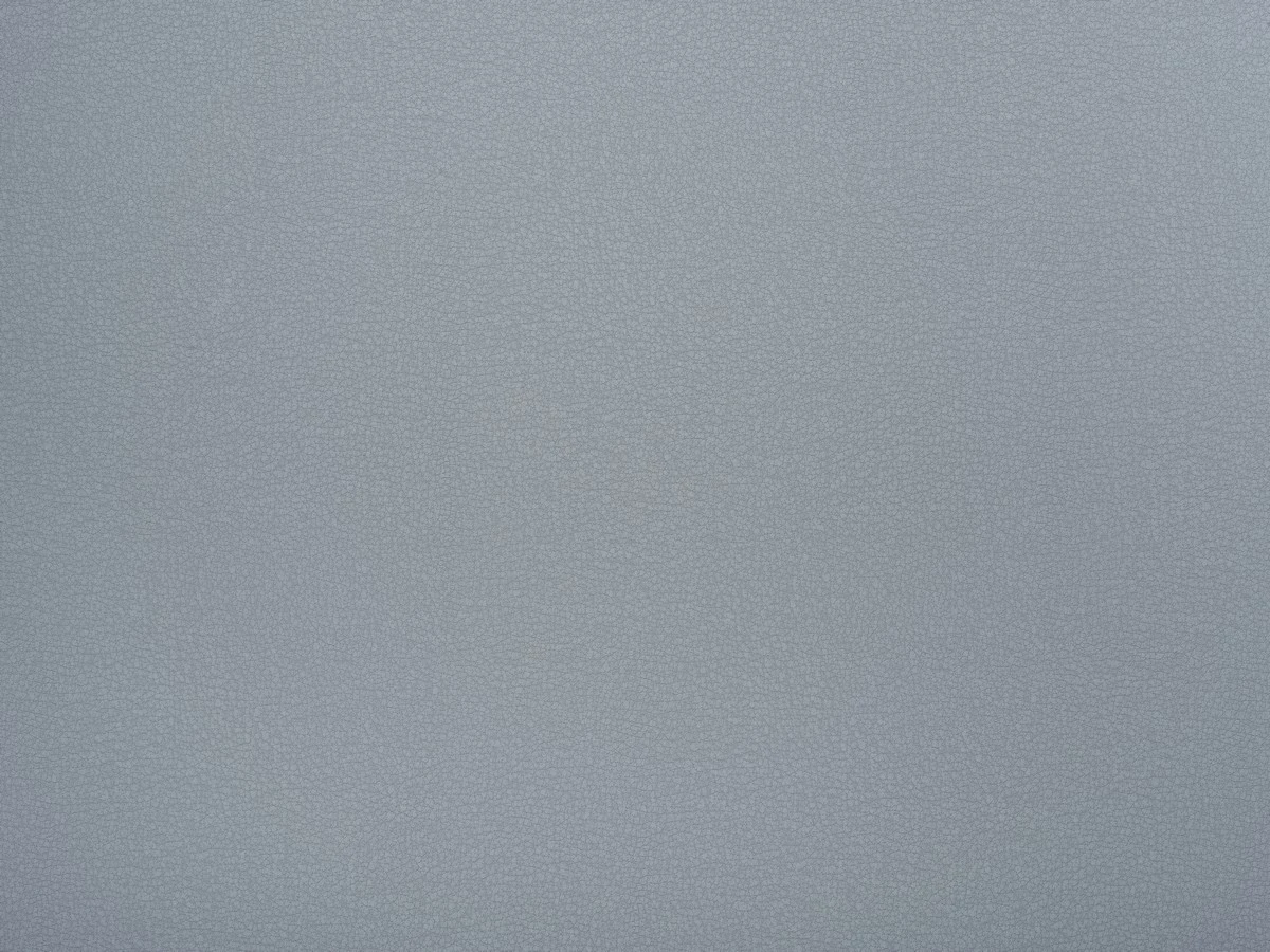 Logan (Логан) 92 Сіро-фіолетовий 