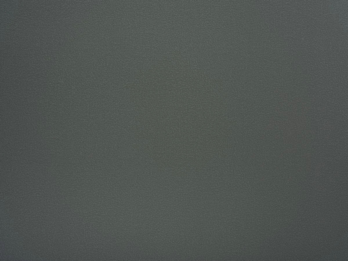 Logan (Логан) 95 Бежево-сірий 