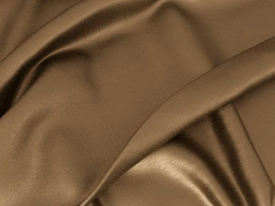 Kansas (Канзас) Bronze