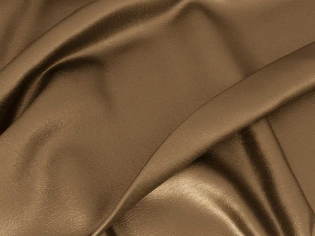 Kansas (Канзас) Bronze 