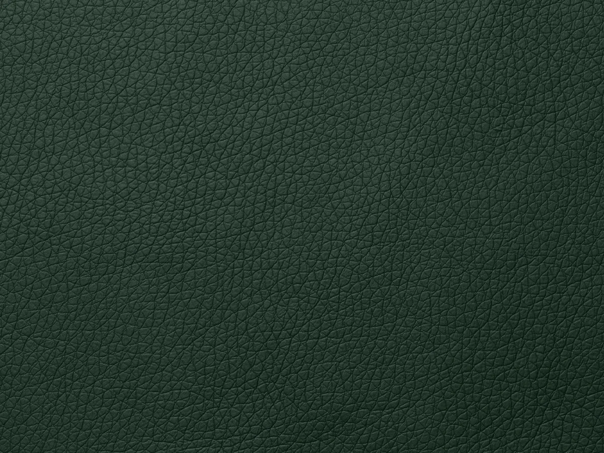 Fly (Флай) 2226 Темно-зелений 