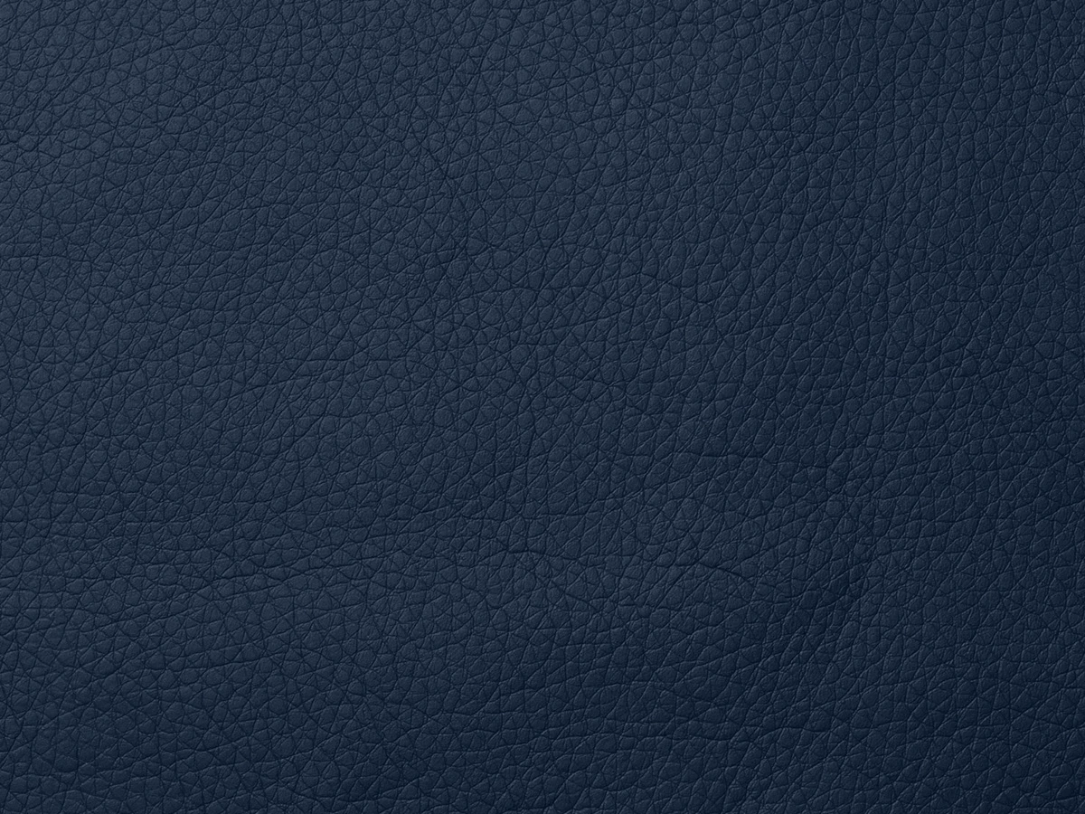 Fly (Флай) 2227 Синій 