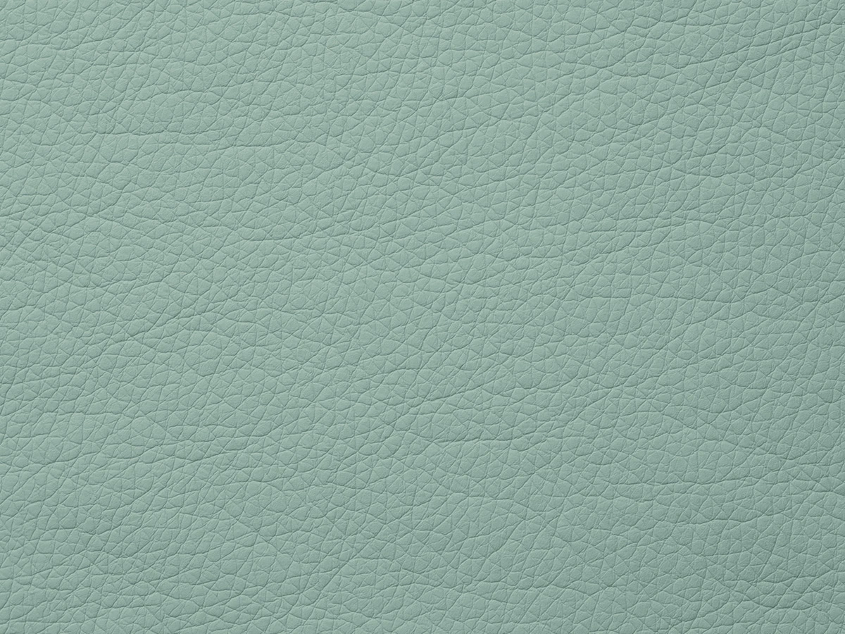 Fly (Флай) 2228 М'ятний 