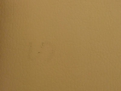 Boston (Бостон)  20 Горчичный