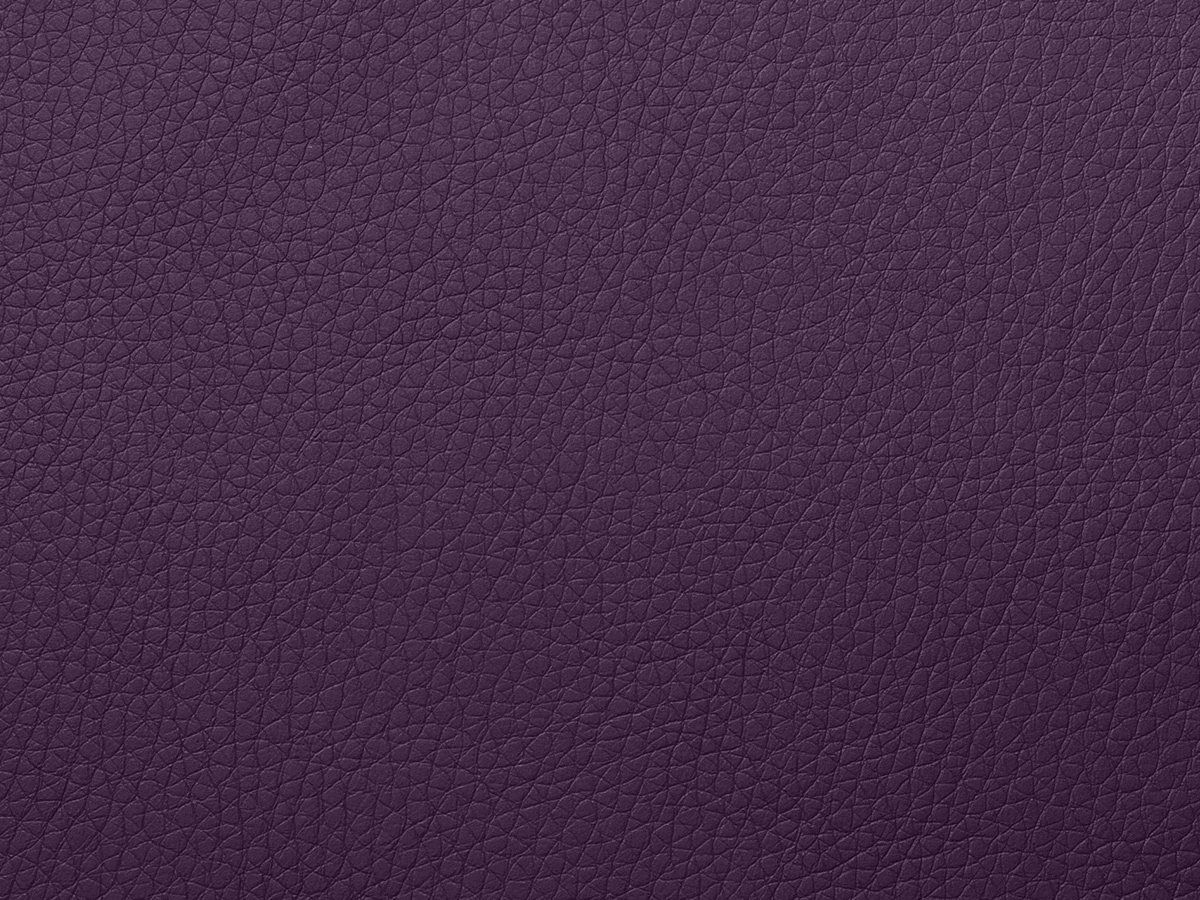 Fly (Флай) 2216 Фіолетовий 