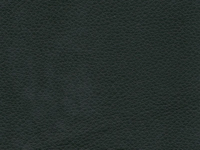 Атриум 11 Темно-зеленый