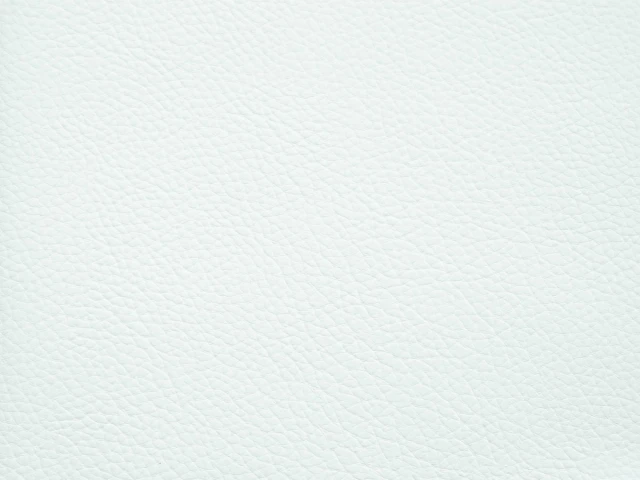 Palazzo (Палацо) Snow 