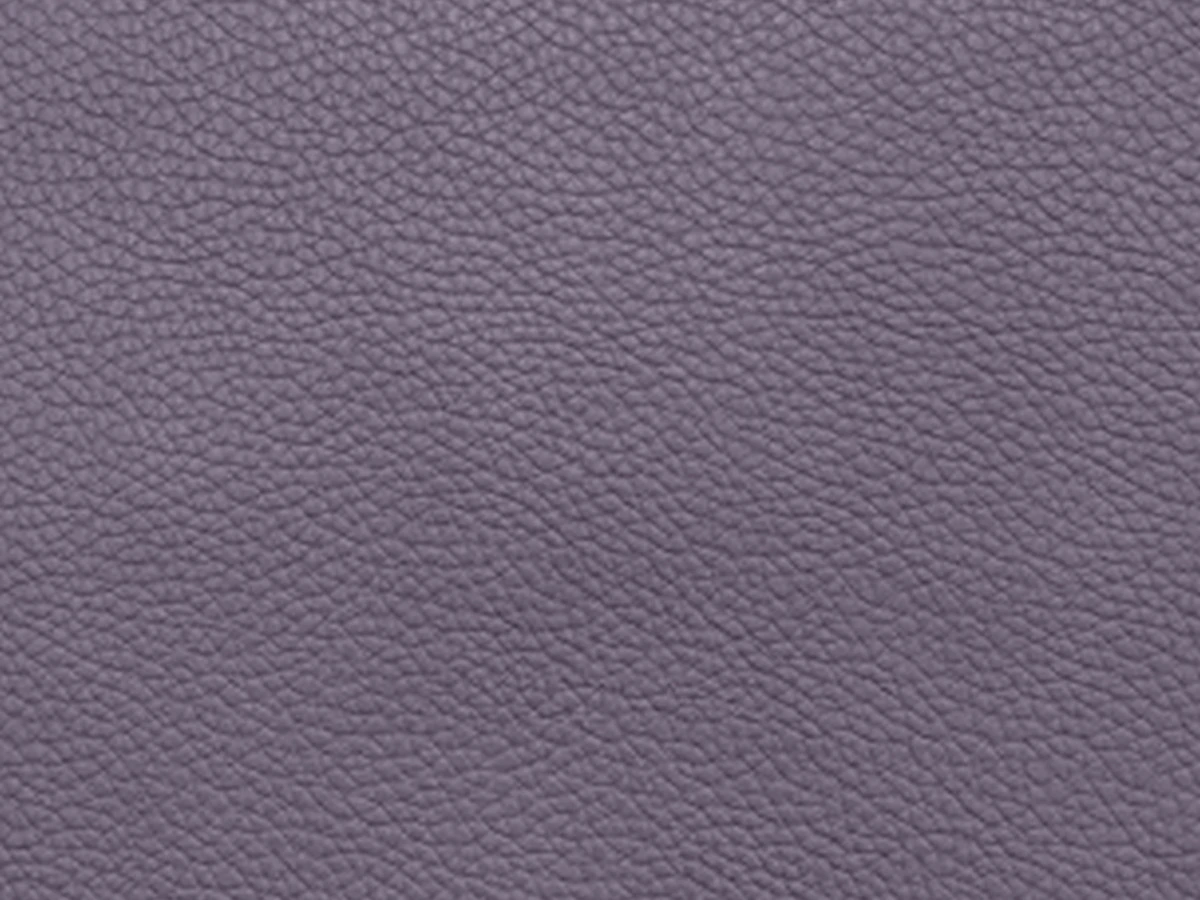 Bionica (Бионика) blueberry 