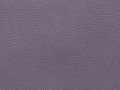 Bionica (Біоніка) blueberry