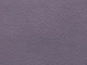 Bionica (Бионика) blueberry 