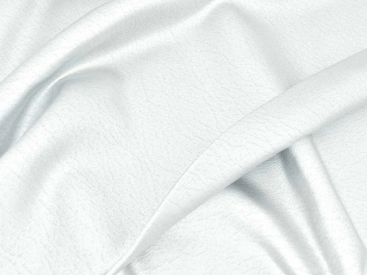 Kansas (Канзас) Silver 