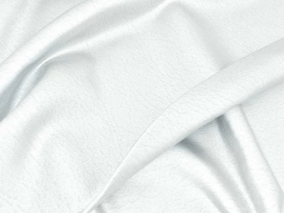 Kansas (Канзас) Silver