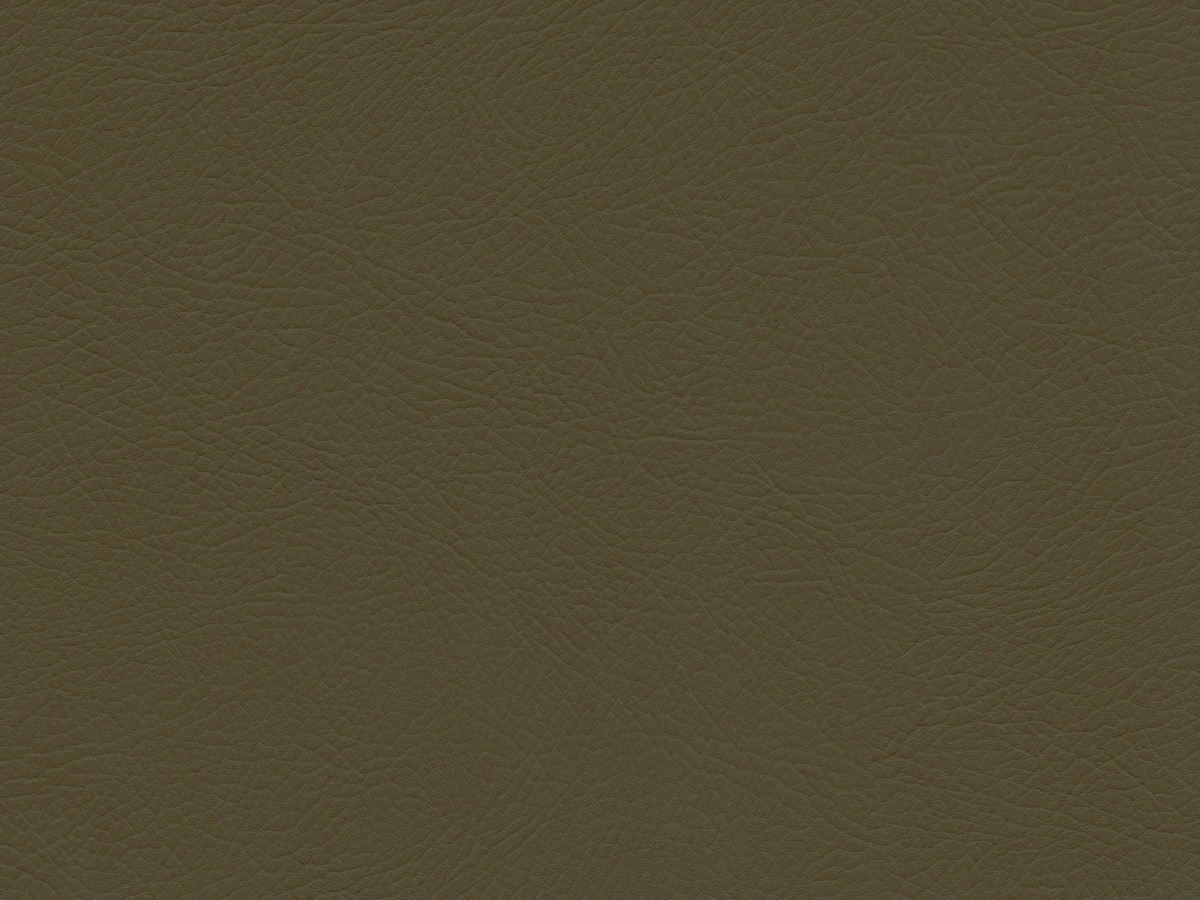 Валенсия 10 Коричневый 