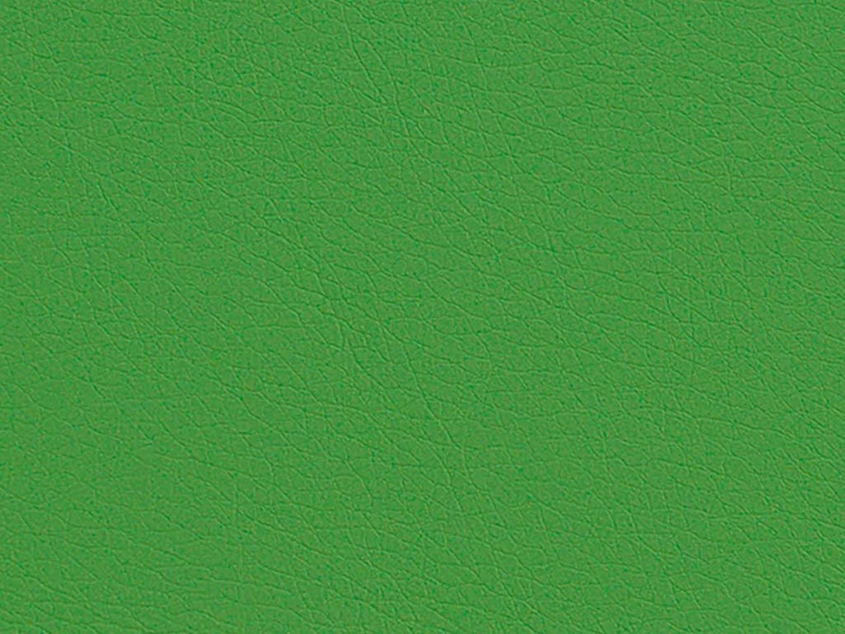 Zeus Deluxe (Зевс Делюкс) Green 