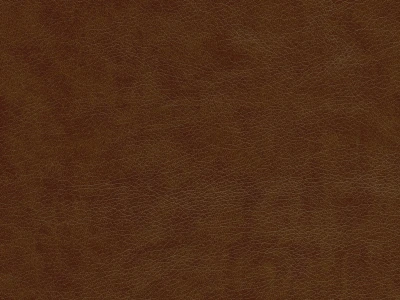 Rodeo (Родео) 02 Коричневий