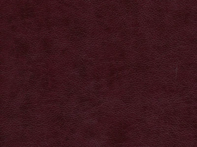 Rodeo (Родео) 03 Бордовий